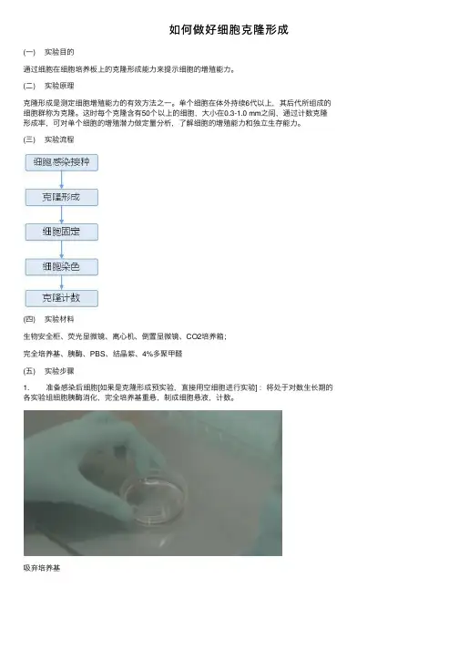 如何做好细胞克隆形成