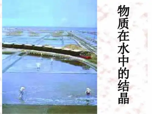 (2019版)物质在水中的结晶2--浙教版