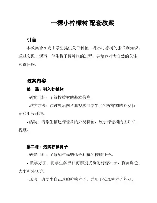 一棵小柠檬树 配套教案