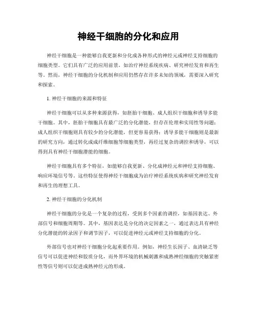 神经干细胞的分化和应用
