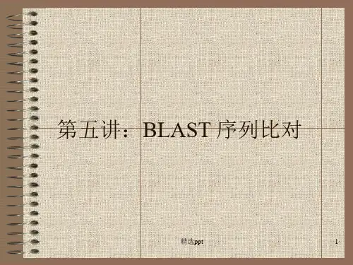 生物信息学：第五讲BLAST序列比对PPT课件