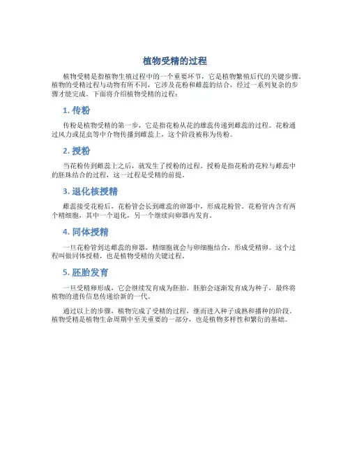植物受精的过程