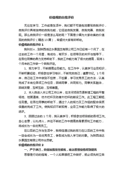 价值观的自我评价（精选13篇）