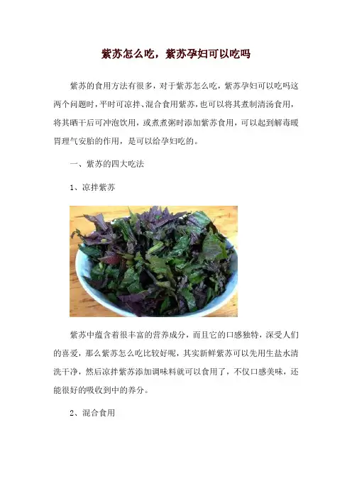 紫苏怎么吃,紫苏孕妇可以吃吗