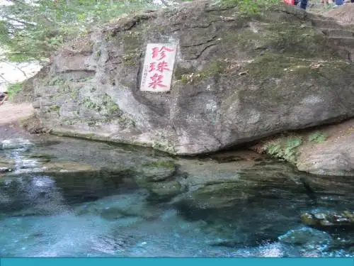 人教三下《珍珠泉》ppt
