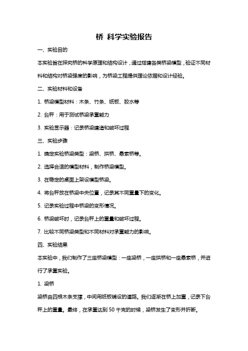 桥 科学实验报告