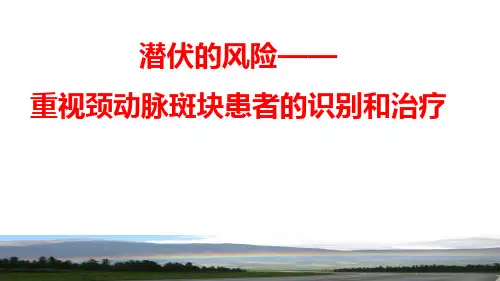 颈动脉斑块