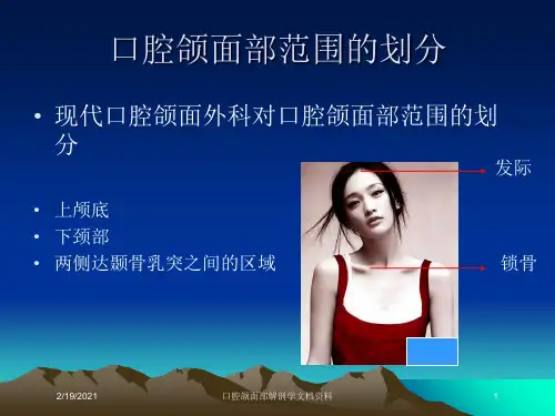 口腔颌面部解剖学文档资料课件