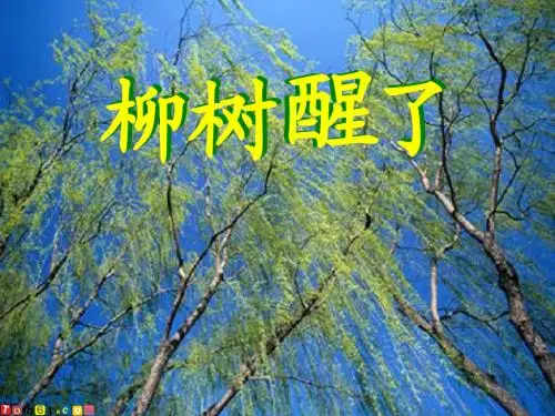新课标人教版语文一年级下册《柳树醒了》课件