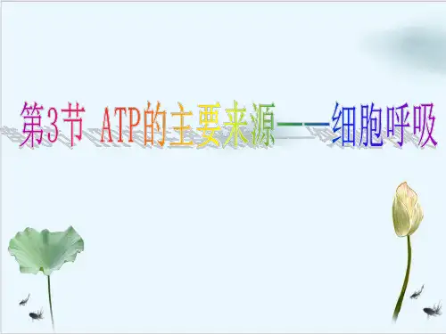 ATP的主要来源——细胞呼吸ppt【73页】