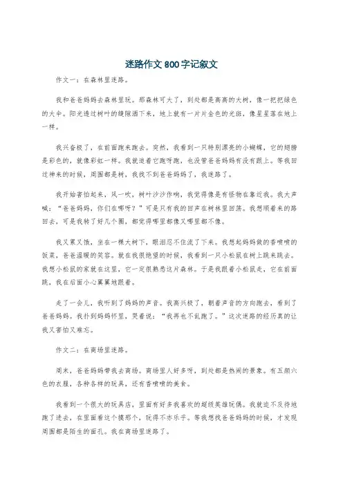 迷路作文800字记叙文