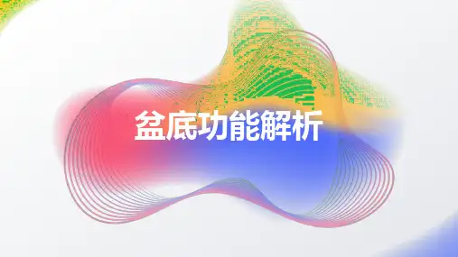 盆底功能解析课件