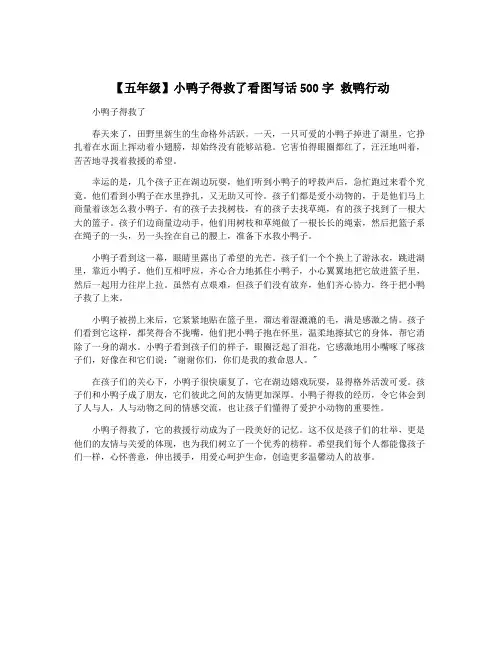 【五年级】小鸭子得救了看图写话500字 救鸭行动