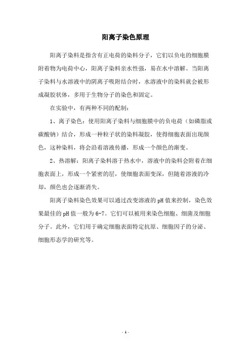 阳离子染色原理