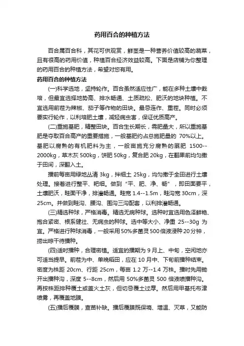 药用百合的种植方法