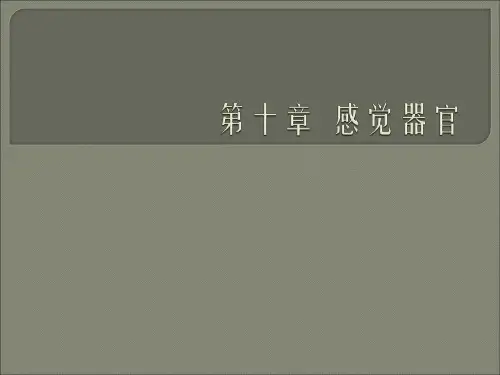 人体解剖学--感官-视器