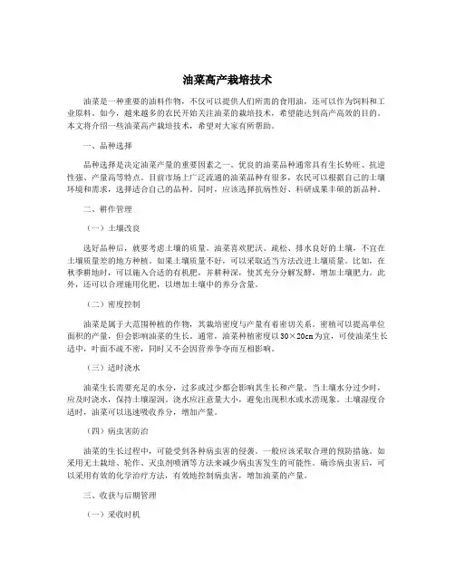 油菜高产栽培技术