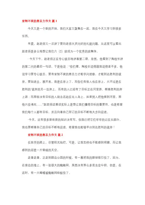 坚韧不拔的作文300字左右