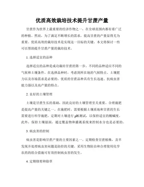 优质高效栽培技术提升甘蔗产量