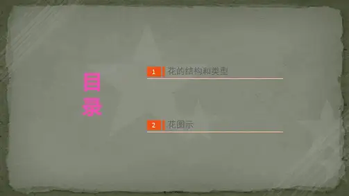 花结构与花图示