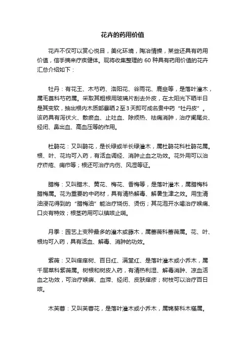 花卉的药用价值