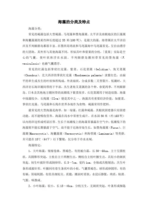 海藻的分类及特点