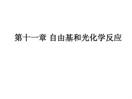 11 自由基和光化学反应
