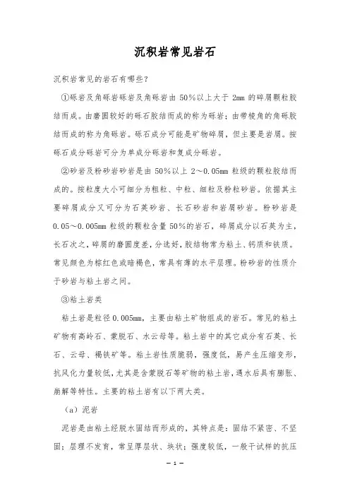 沉积岩常见岩石