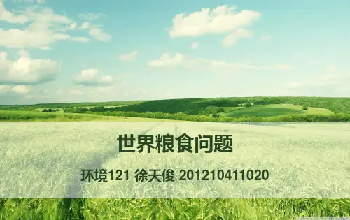 世界粮食问题