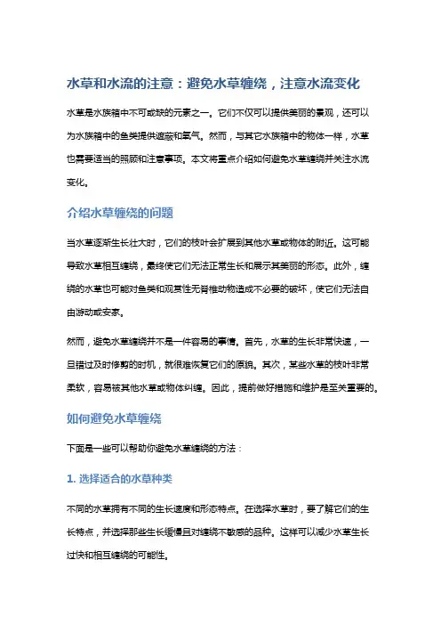 水草和水流的注意：避免水草缠绕,注意水流变化