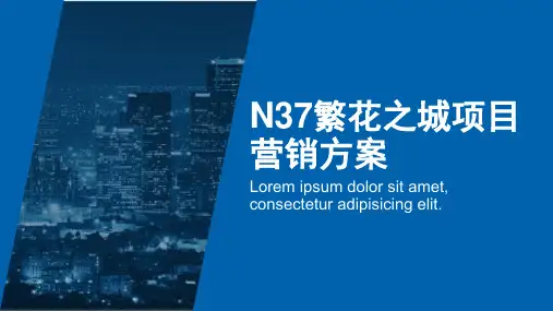 N37繁花之城商业项目营销方案
