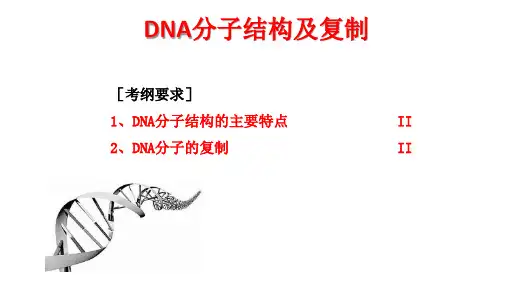 高三生物一轮复习课件+DNA分子结构、复制