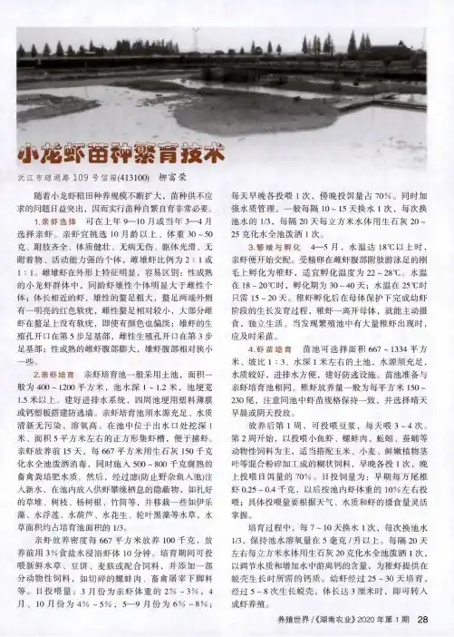 小龙虾苗种繁育技术