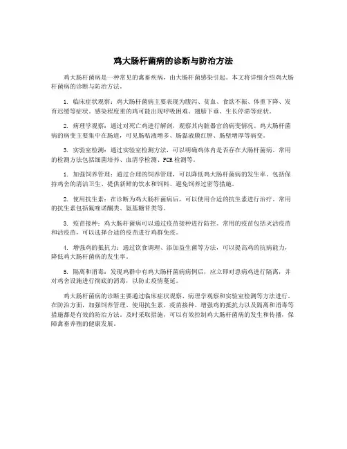 鸡大肠杆菌病的诊断与防治方法