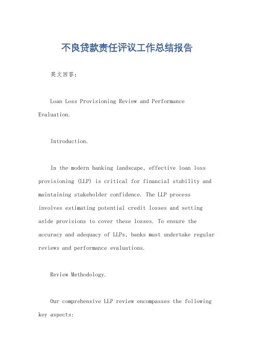 不良贷款责任评议工作总结报告