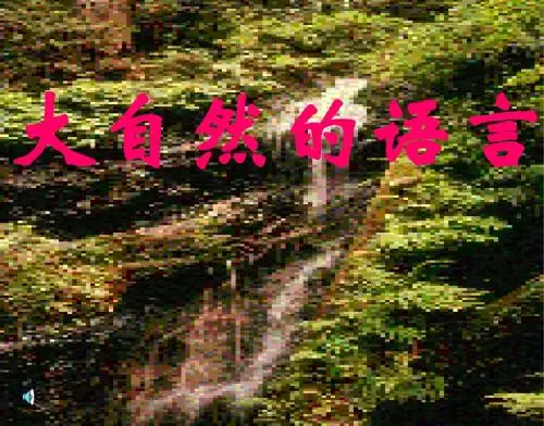语文八年级上人教新课标第16课《大自然的语言》课件5.