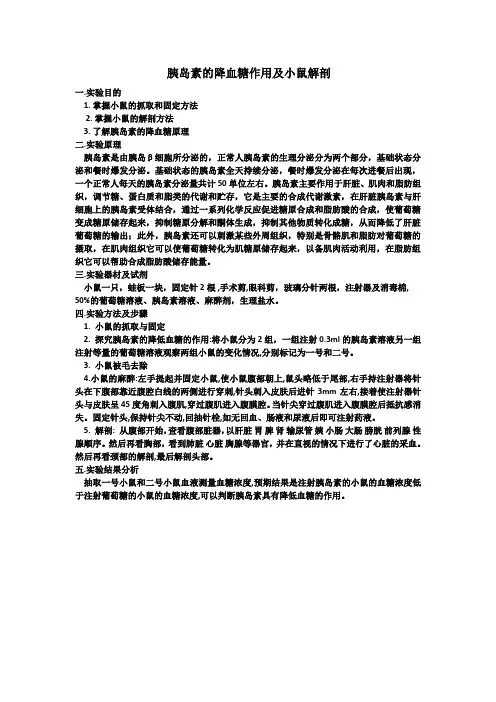 胰岛素的降血糖作用及小鼠解剖,医学实验报告