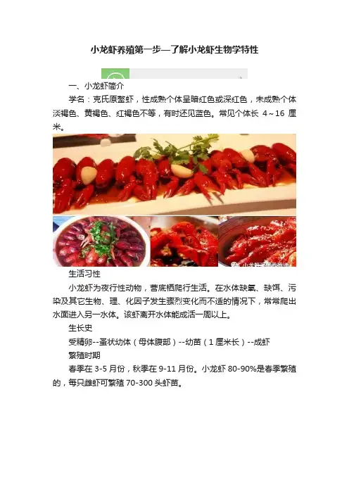 小龙虾养殖第一步—了解小龙虾生物学特性