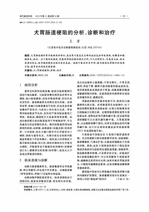 犬胃肠道梗阻的分析、诊断和治疗