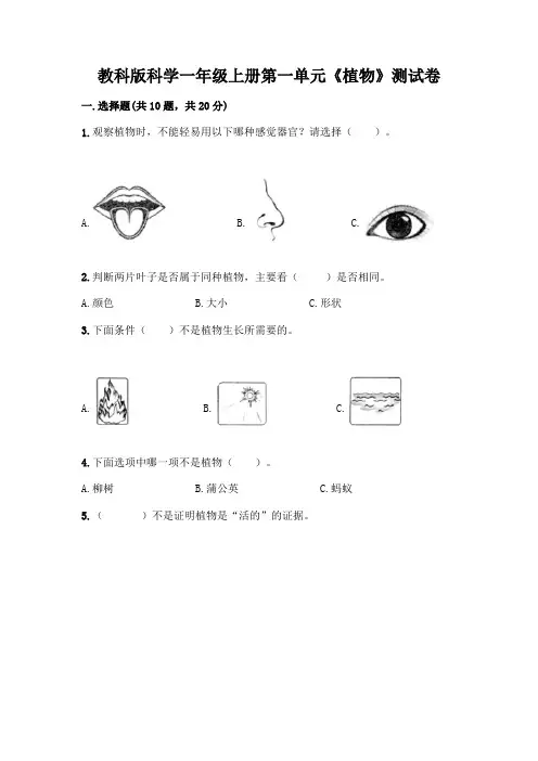 教科版科学一年级上册第一单元《植物》测试卷及参考答案【完整版】