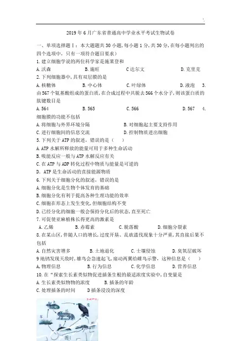 2019年6月广东省普通高中学业水平考试生物试卷