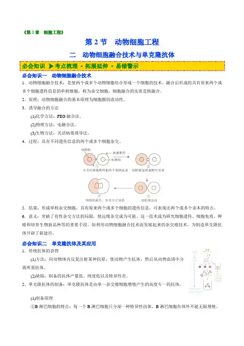 动物细胞融合技术与单克隆抗体