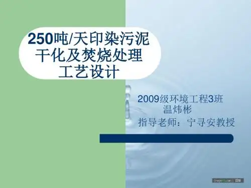 吨每天污泥干化及焚烧处理工艺设计PPT课件