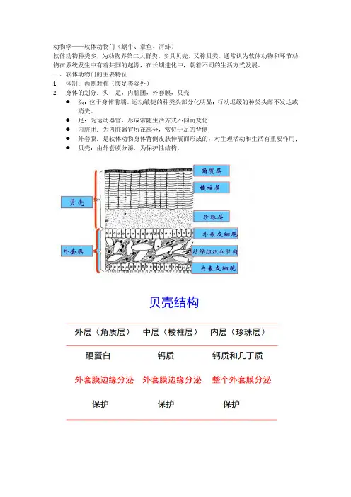 动物学——软体动物