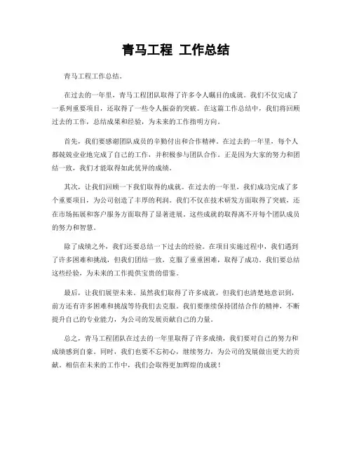 青马工程 工作总结