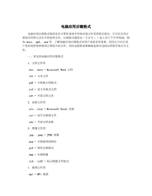 电脑应用后缀格式