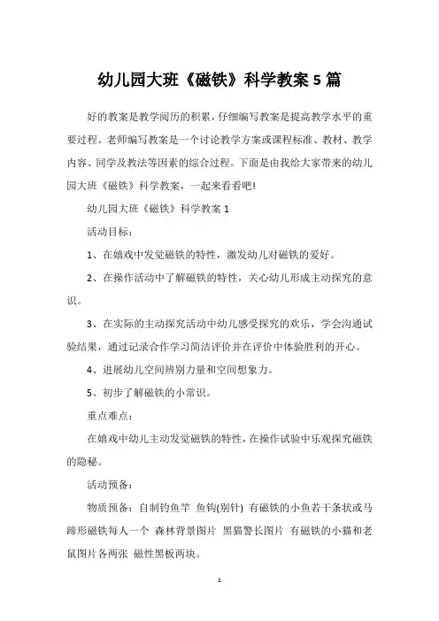 幼儿园大班《磁铁》科学教案5篇