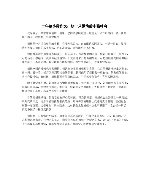 二年级小猫作文：好一只懒惰的小猫咪啊