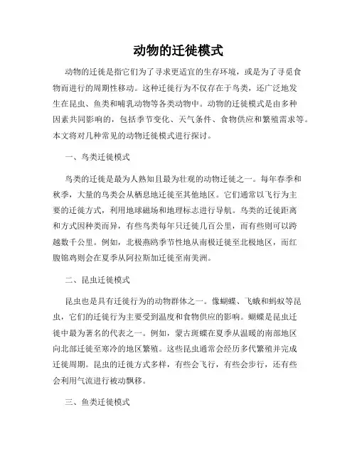 动物的迁徙模式