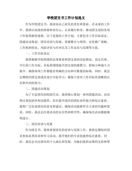 学校团支书工作计划选文
